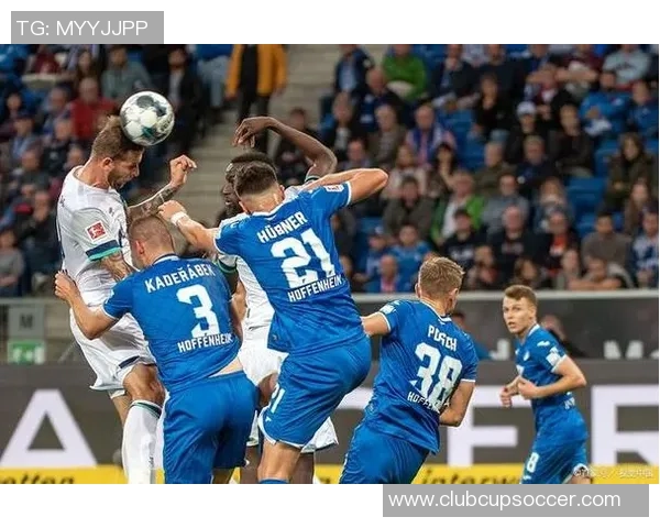 圣何塞与多伦多的激烈对决谁能在这场比赛中脱颖而出